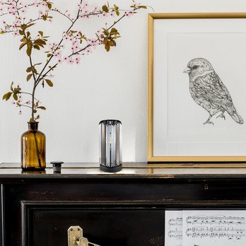 Stolná lampa VENESS 2 čierna/tónované sklo 1