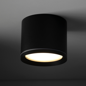 Stropné svietidlo VIVO čierna 2