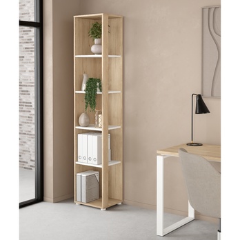 Regál WALKER IV dub jackson hickory/biela 1