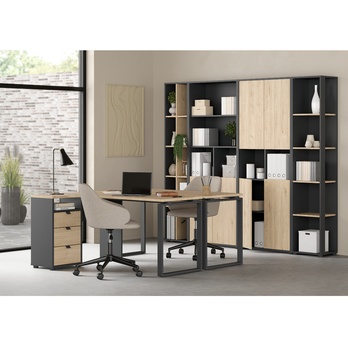 Regál WALKER IV dub jackson hickory/sivá 6