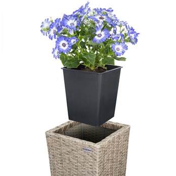 Vysoký obal na kvety WICKER krémová, 3 ks 7