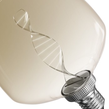 Dekoratívna LED žiarovka Z59D01 E27, 3,5W, teplá biela, hnedá 1