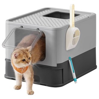 CAT 2