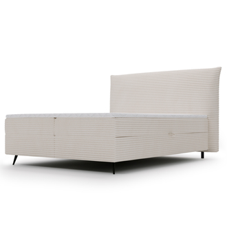 FOXY NEW