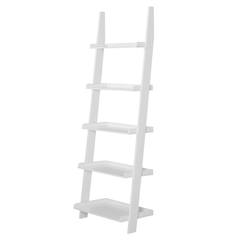 LADDER