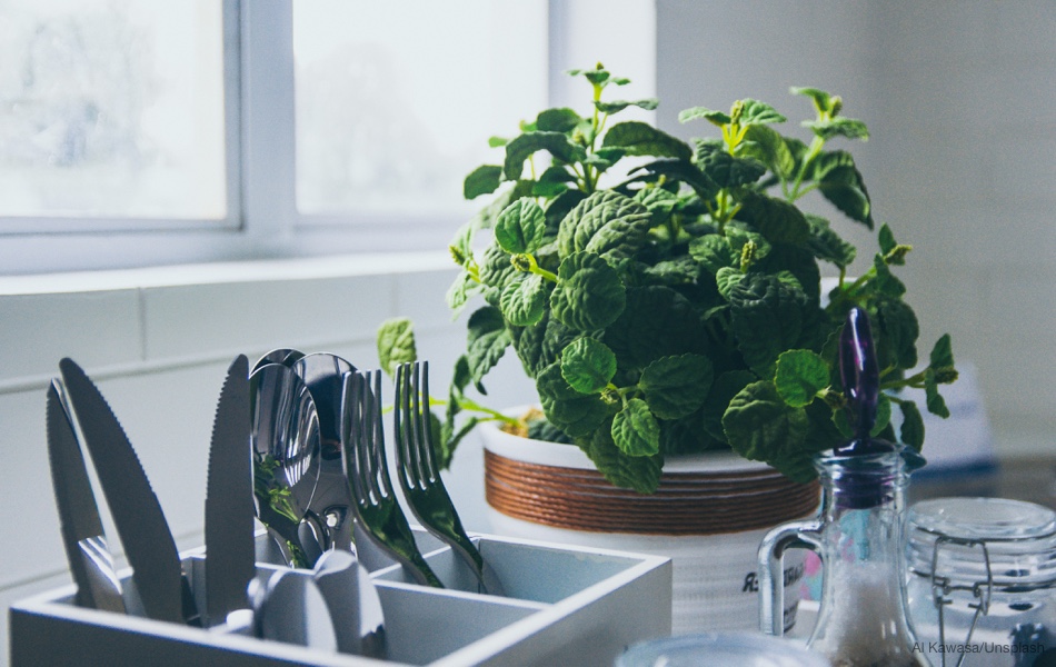 Pestujeme bylinky v kuchyni – týchto 7 u vás nesmie chýbať